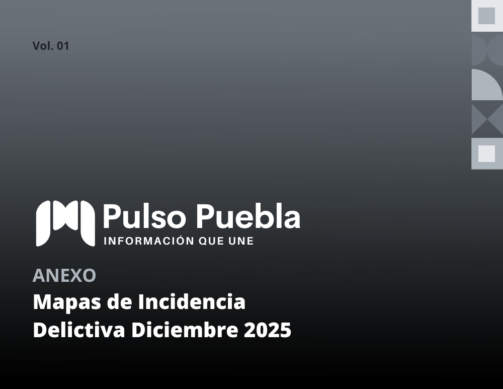 Mapas de Incidencia Delictiva Diciembre 2025